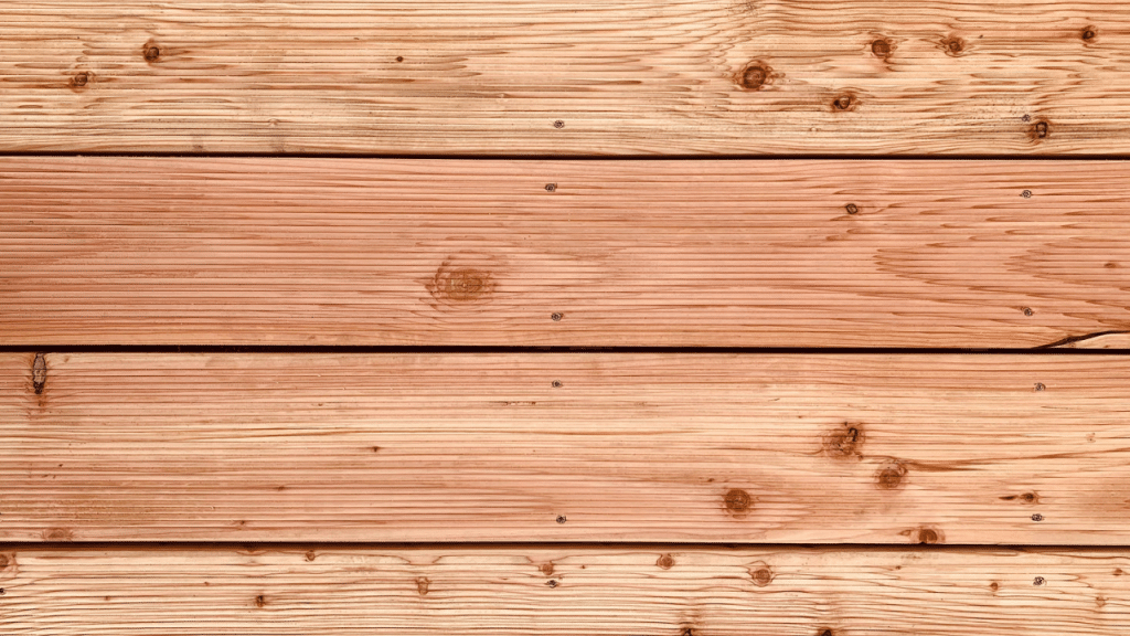 cedar
