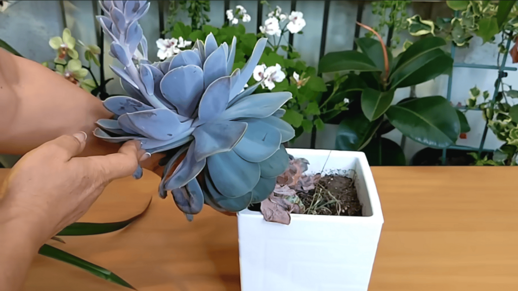 Step 1 Prepare Your Workspace