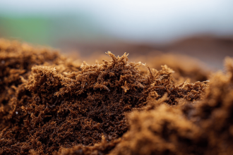 what is peat moss