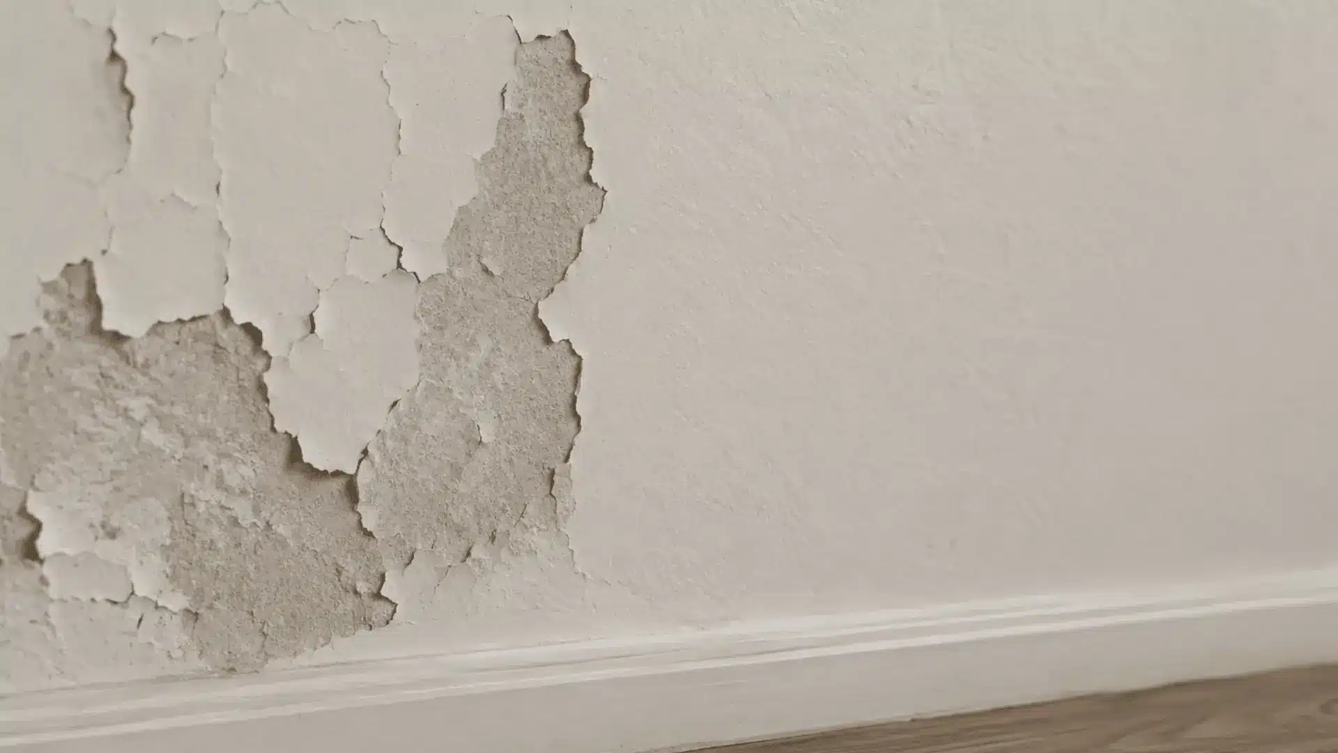 Peeling paint wall repair showing scraped surface, sanding, and preparation before priming and repainting.