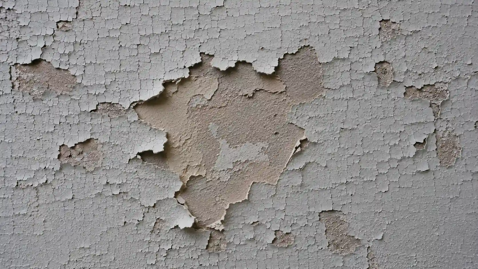 Close-up of severe alligatoring paint failure with irregular deep cracks.