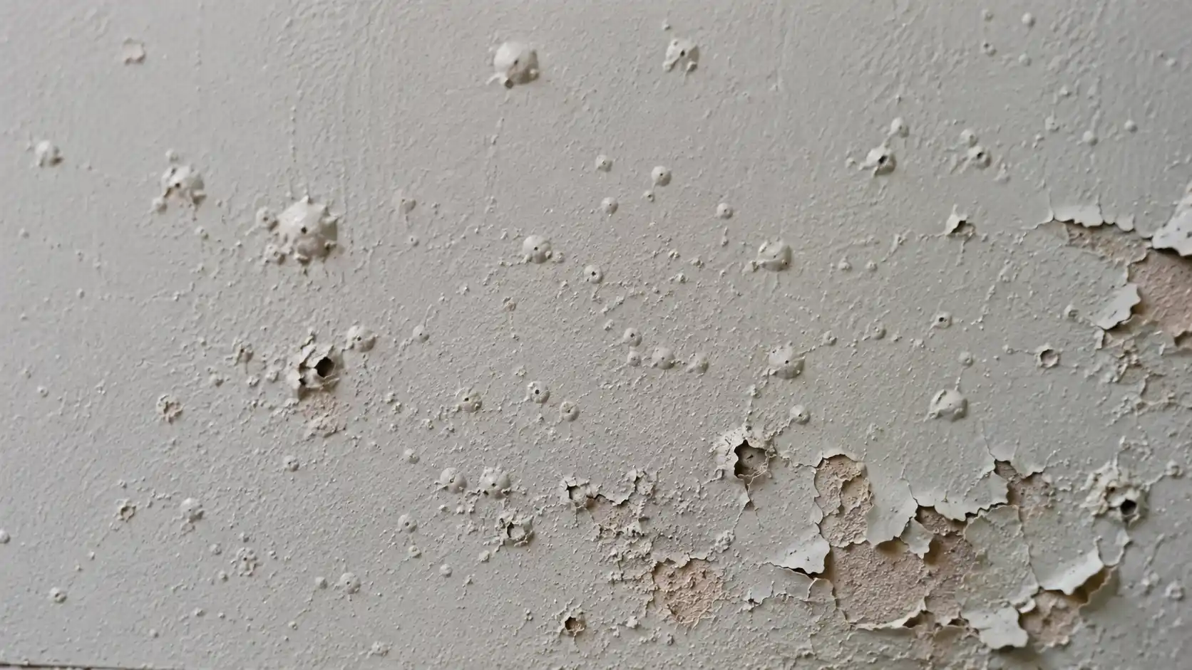 Peeling and blistering wall paint.