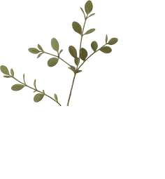 leaves_branches_only