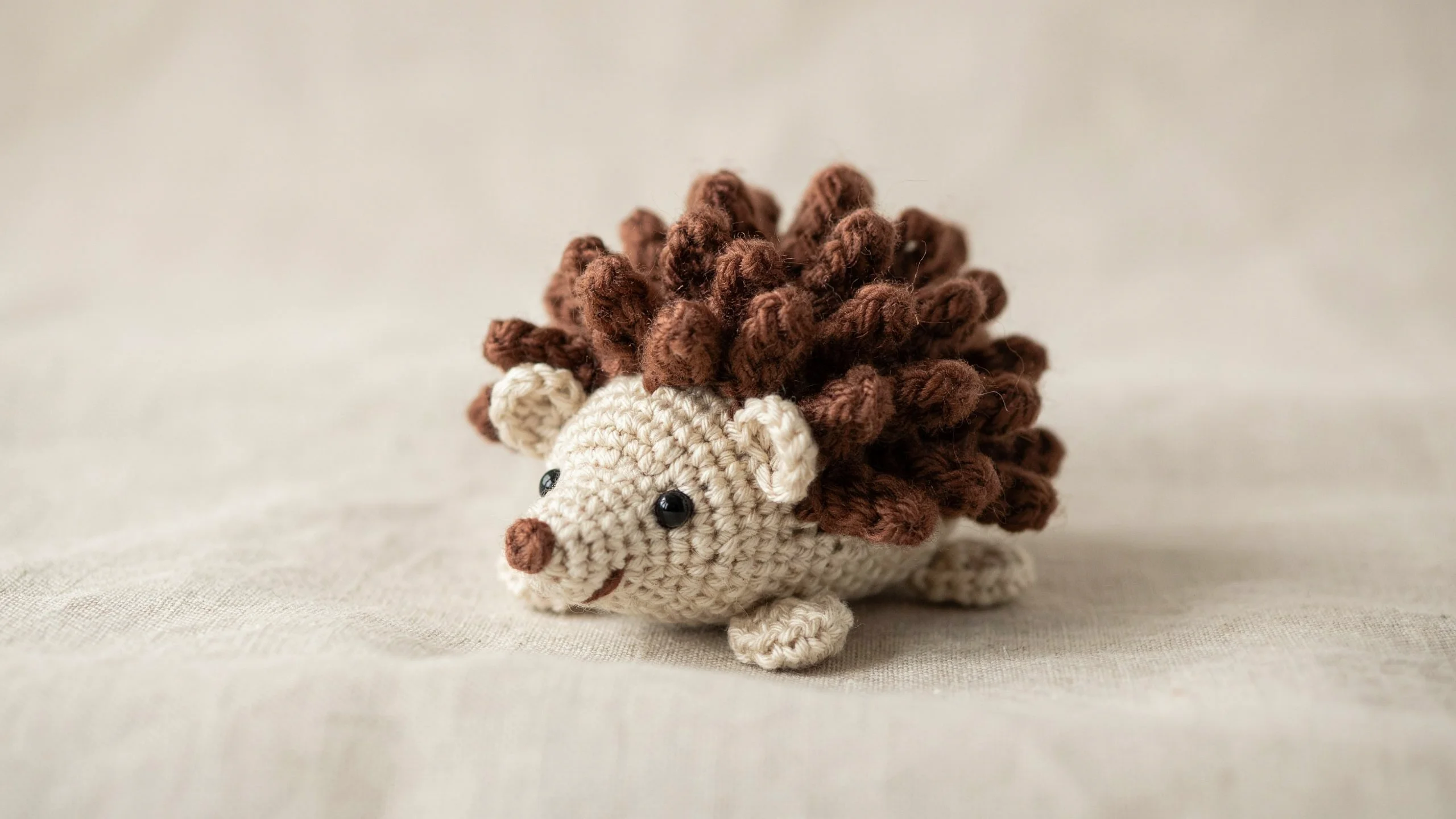 Crochet hedgehog with textured back and smooth face