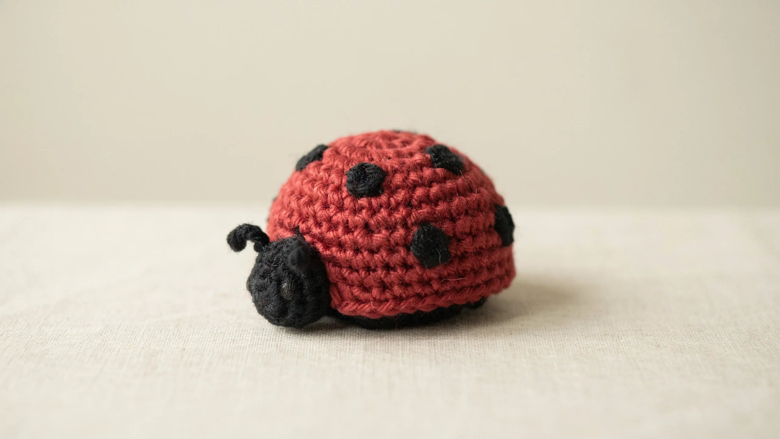 Crochet ladybug with red body and black spots centered