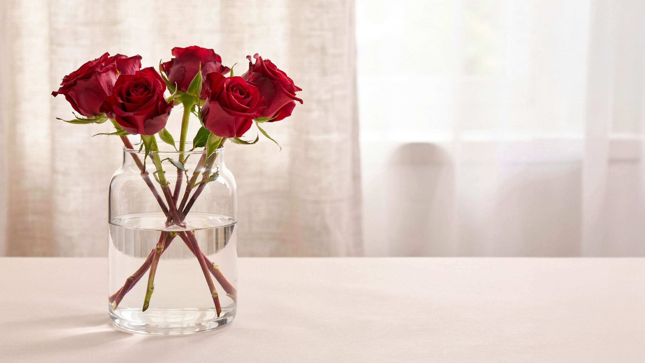 Red rose stems placed in glass vase with water showing full immersion and clear sharp indoor background details.